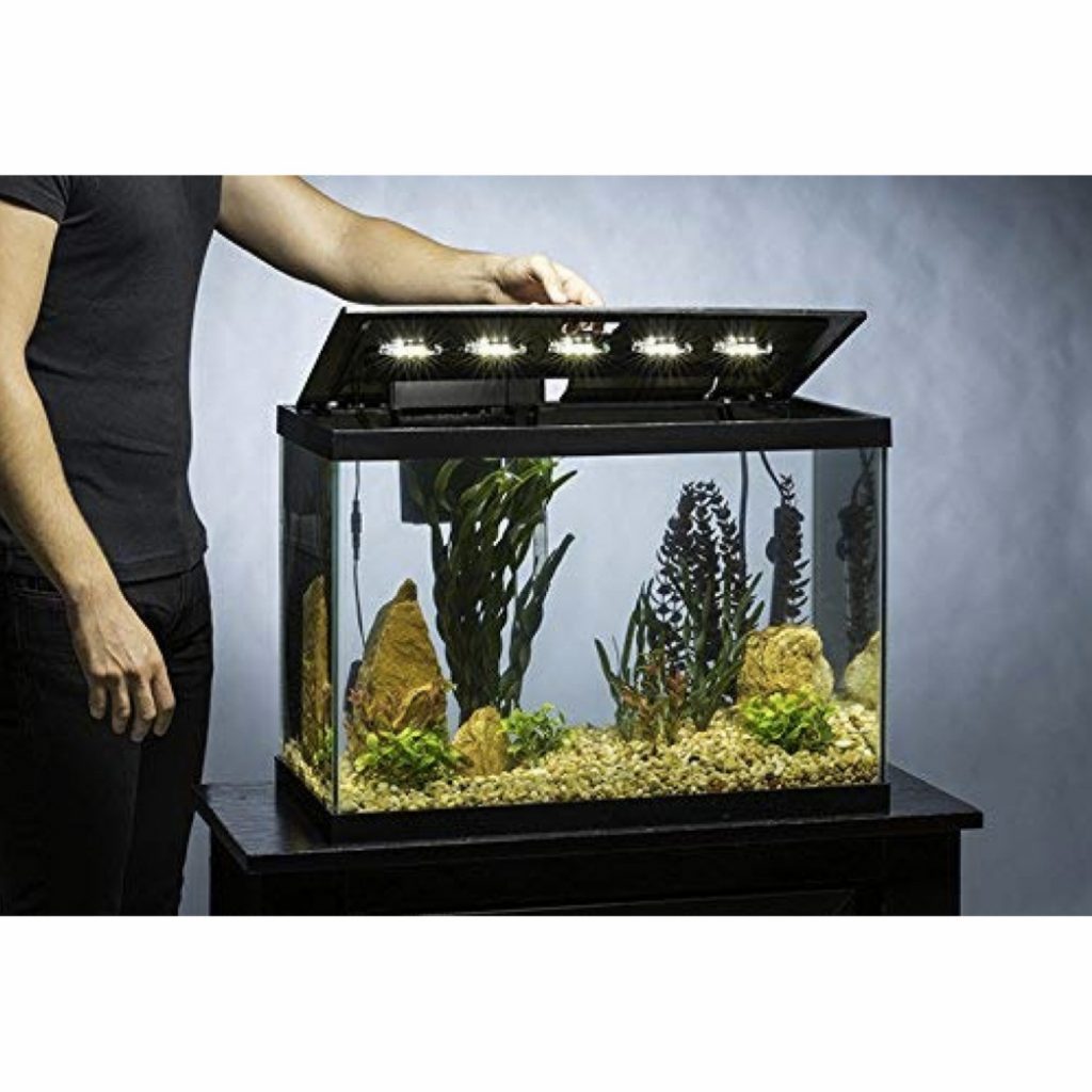 Tetra 20 Gallon Complete Aquarium Kit w/ Filter, Heater