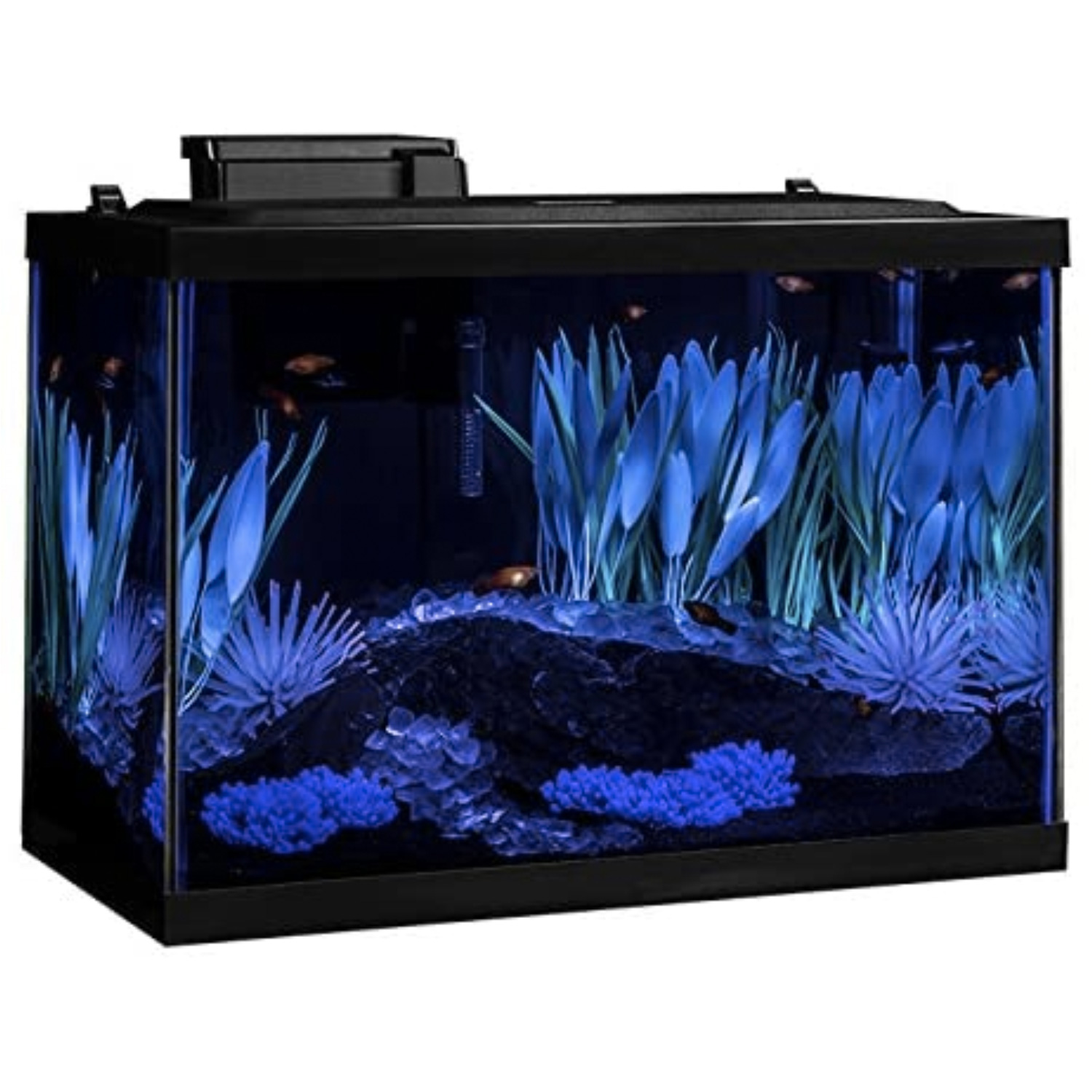 20 Gallon Aquarium Fish Tank Complete Kit with Heater Filter LED Lighting Plants 