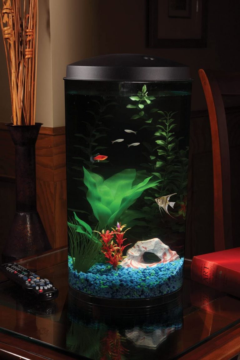 Koller Products AquaView 6 Gallon 360 Fish Tank with Power Filter & LED