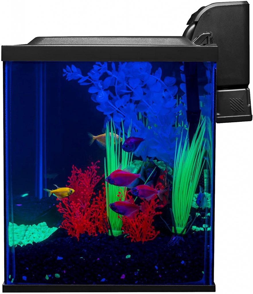 Glofish 10 Gallon Aquarium Fish Tank Kit with LED, Filter