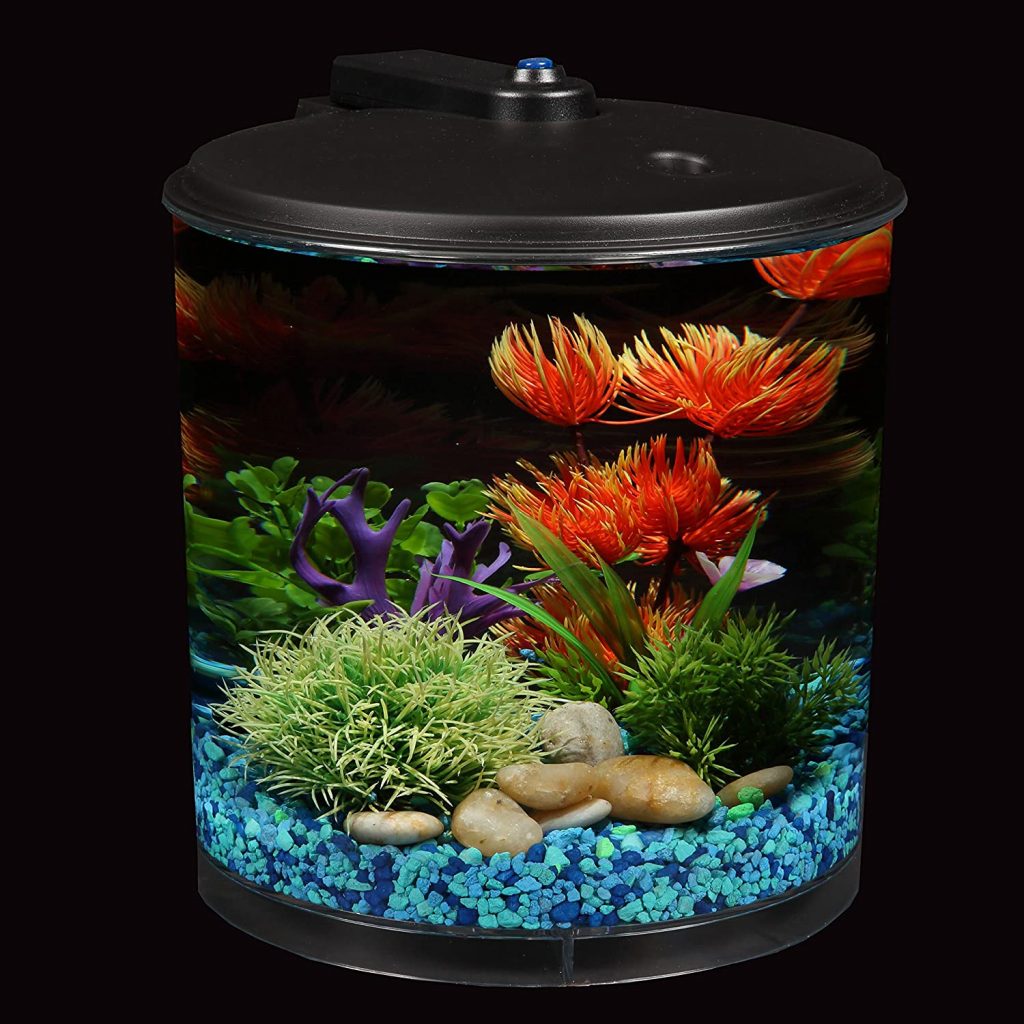 Koller Products 2 Gallon Tropical 360 View Aquarium Starter Kit