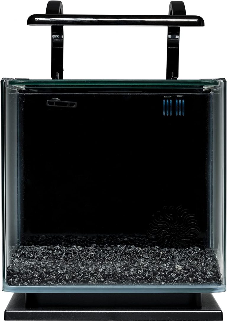 MarineLand 3 Gallons Contour Glass Aquarium Kit with Rail Light