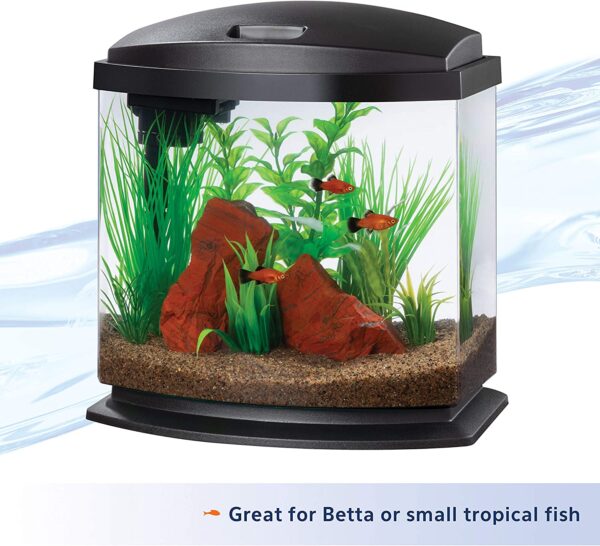 Aqueon LED 2.5 Gallon MiniBow SmartClean Fish Aquarium Kit
