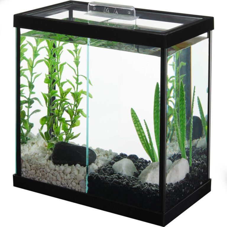 Frisco-2-Betta-1-Gallon-Glass-Aquarium-with-Divider-and-Top
